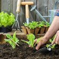 thumbnail image 3 of Mini Sand Rake Tool Micro Landscape Mini Rake Tool Kids Gardening Small Rake Tool for DIY, 3 of 3