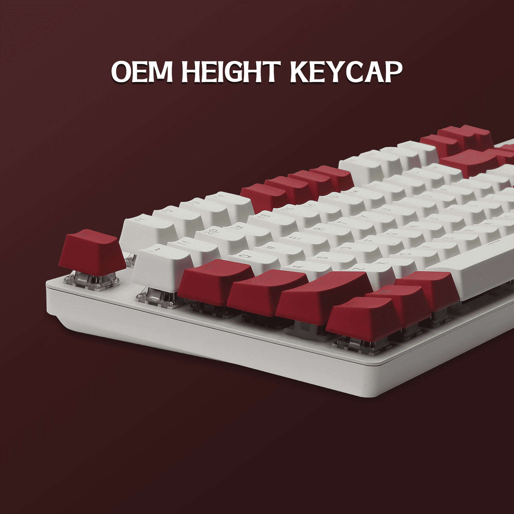Hyssop PBT Keycaps Gaming Keycaps Doubleshot Backlit Keyset OEM Profile Cherry MX for 61 87 104 108 MX Switches Mechanical Keyboard