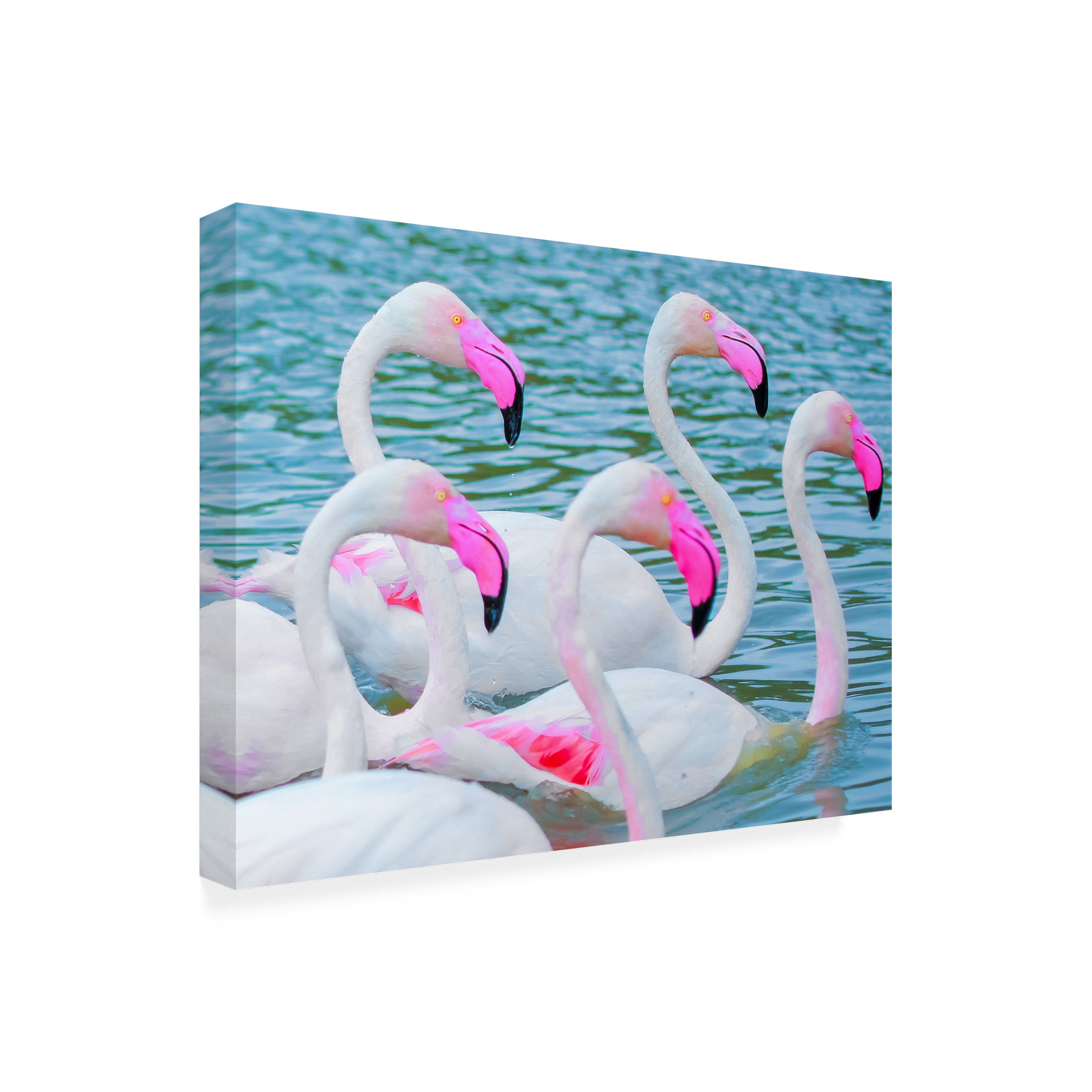 Ben Heine 'Flamboyant Of Flamingos 3' Canvas Art