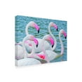 thumbnail image 2 of Ben Heine 'Flamboyant Of Flamingos 3' Canvas Art, 2 of 3