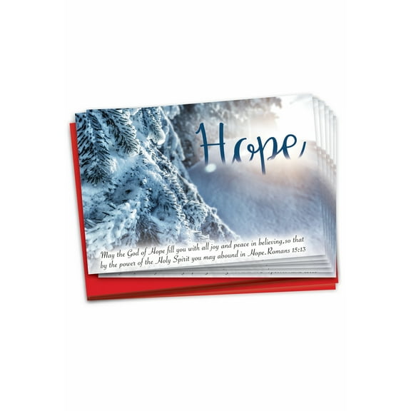 12 Merry Christmas Cards Pack (1 Design, 12 Cards) - Devotions B6661BXSG