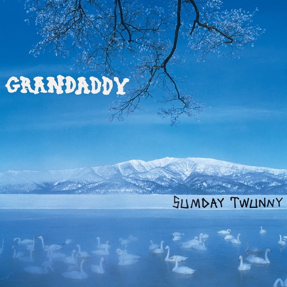 Grandaddy - Sumday: Twunny - Music & Performance - Vinyl