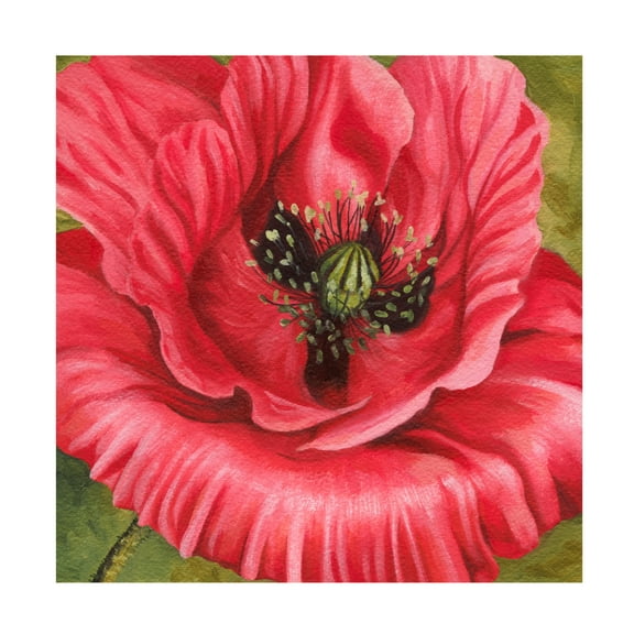 Trademark Fine Art Grace Popp Vivid Poppy I Canvas Wall Art