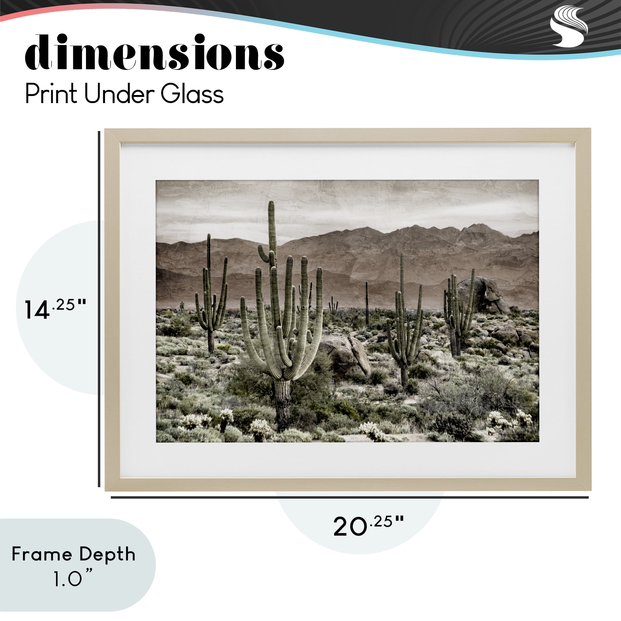 Stupell Industries Desert Land Cacti Wilderness Birch Framed Print Under Glass, design by Kim Allen