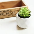 thumbnail image 4 of Easy to Maintain Artificial Potted White Ceramic Potted Mini Modern Decoration Artificial Succulent Potted for Home, 4 of 8