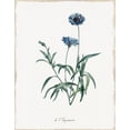 thumbnail image 2 of Donovan, Kelly 20x24 White Modern Wood Framed Museum Art Print Titled - Imperial Blue, 2 of 4