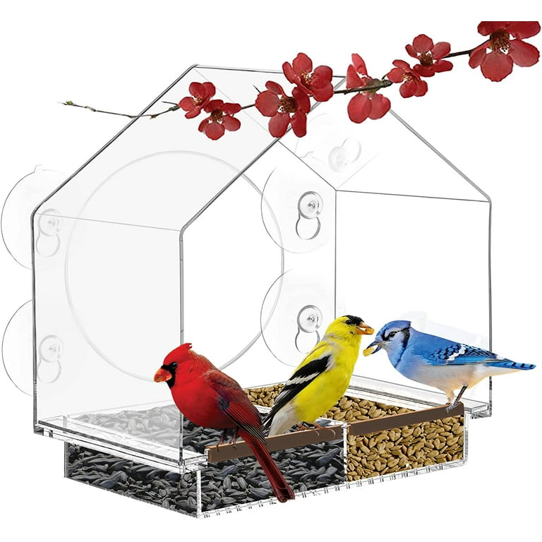 XGeek Window Bird Feeder for Outside - Clear Window Bird Feeders with  Strong Suction Cups for Window Perch, Balcony, Nature's Hangout 