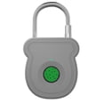 thumbnail image 1 of Inteprter Armario doble de oficina con cerradura inteligente con huella dactilar para equipaje al aire libre Cerraduras de hardware gris, 1 of 6
