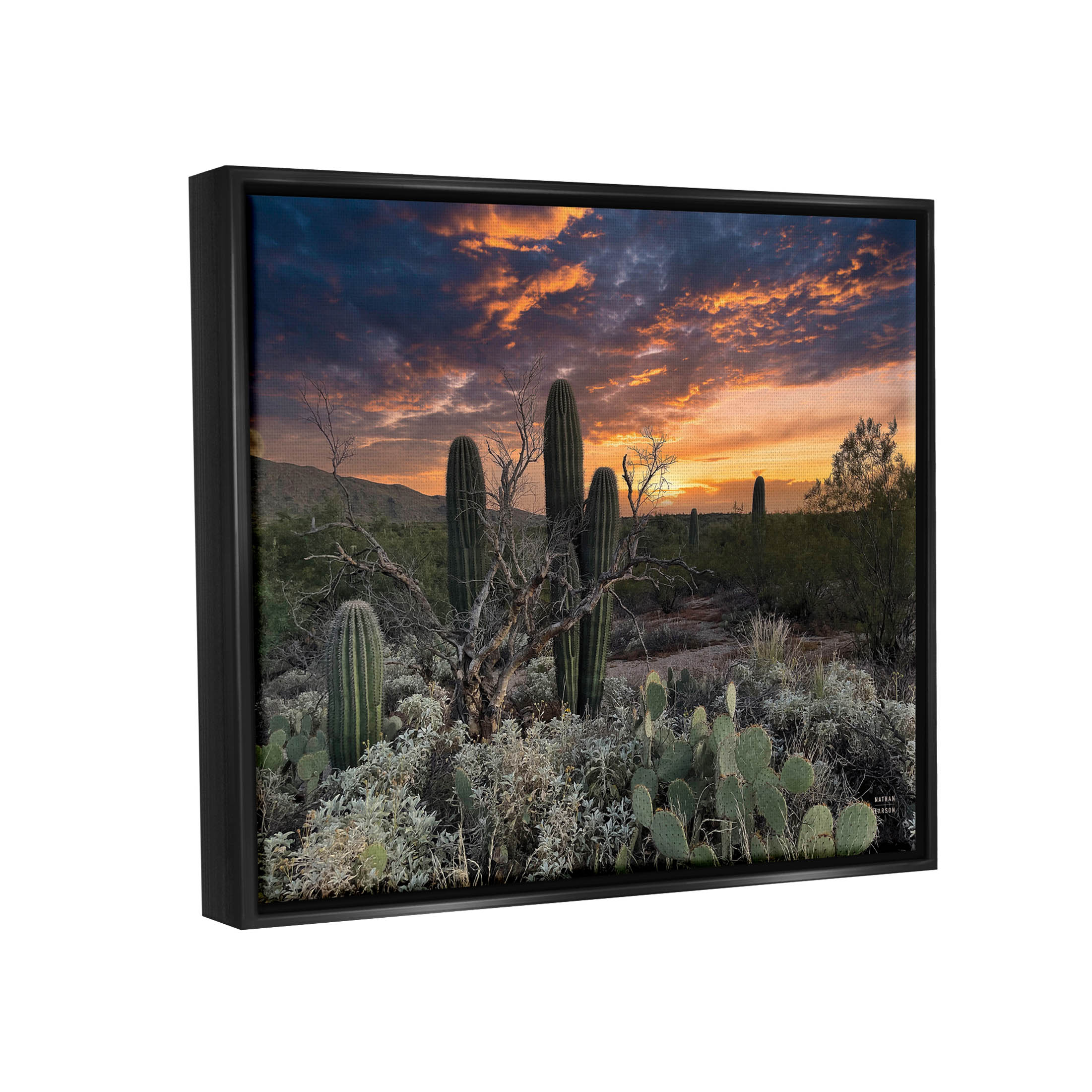 Stupell Industries Arid Desert Cactus Sunset Photograph Jet Black Floating Framed Canvas Print Wall Art, Design by Nathan Larson