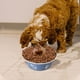 thumbnail image 3 of Stainless Steel Dog Bowl Bowl And DropFeeding Device, 3 of 4