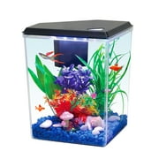 Aqua Culture Plastic 2.5 Gallon Aquarium with Accessories, Black, 12.23''L x 9.16"W x 11.22''H