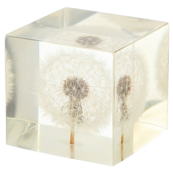 cipitness Cube Desktop Decoration Creative Dandelion Transparent Craft Adornment Gift for Home Office