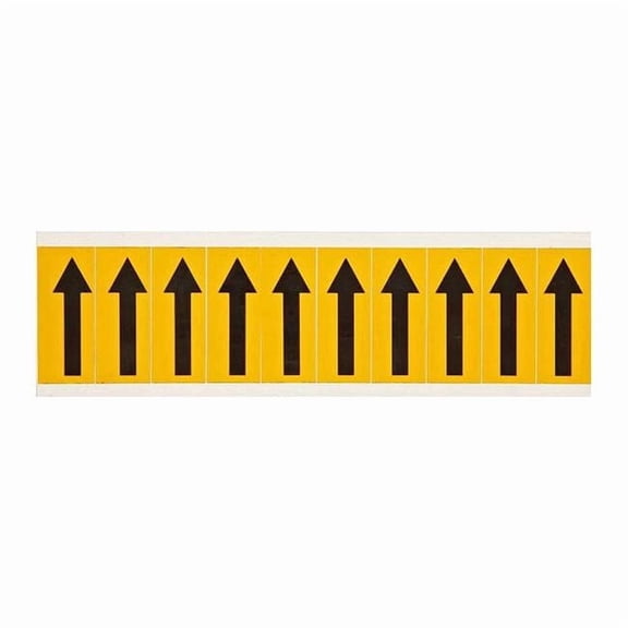 Brady Symbol Label, Vinyl, 2-1/4 in H, 7/8 in W, PK10 1534-ARO