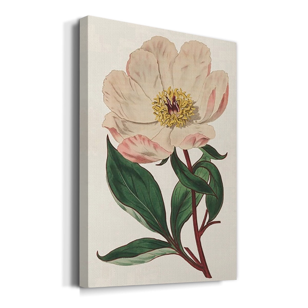Pink Floral Mix VII Premium Gallery Wrapped Canvas - Ready to Hang