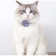 thumbnail image 3 of Collar de gato Día de San Valentín Rosa perro mascota Collar ajustable de nailon con campanas y accesorios de perlas para mascotas, 3 of 5