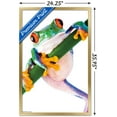 thumbnail image 3 of Tree Frog Wall Poster, 22.375" x 34", Framed, 3 of 3