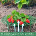 thumbnail image 5 of Paquete de 10 soportes para fresas, estantes ajustables para cultivo de fresas, soporte para jardín,, estante para verduras para mantener la fruta elevada para evitar la pudrición del suelo oso de fresa Hogar, 5 of 5