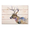 thumbnail image 1 of Day Dream DCWT2014 20 x 14 Po Whitetail Art Mural, 1 of 1