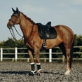 thumbnail image 4 of B Vertigo Drew Quilted Dressage Horse Saddle Pad | Quick-Drying and Breathable, 4 of 4