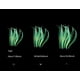 thumbnail image 1 of Decoraciones para acuarios Adorno de coral artificial Algas marinas Kelp Decoración de peces Adorno para tanque Imitación de coral Accesorios para acuarios Plantas decorativas JFHHH pequeña, 1 of 4