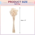 thumbnail image 2 of Uxcell 120pcs Colas de Conejo Naturales Flores Secas 17" Mini Hierba Pampas Lagurus Ovatus Ramo para Decoración Floral de Boda, Blanca, 2 of 6