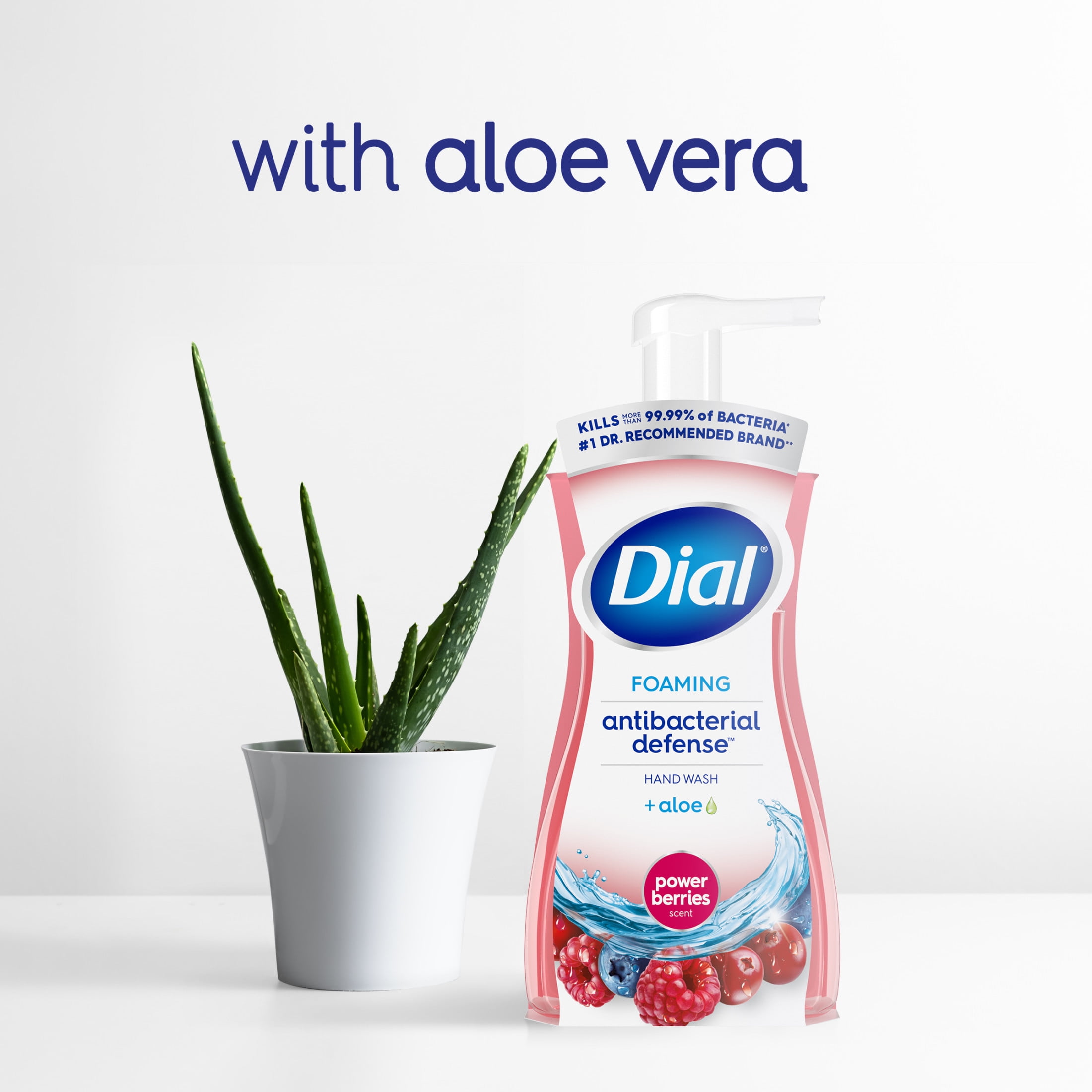 (4 pack) Dial Antibacterial Defense Power Berries Scent Foaming Hand Soap, 7.5 fl oz