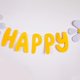 thumbnail image 4 of Set, Small Daisy Happy Birthday Pull Flag Baby Party Supplies Decoration Photo Props Scene Arrangement, Birthday Party Decor Supplies, 4 of 4