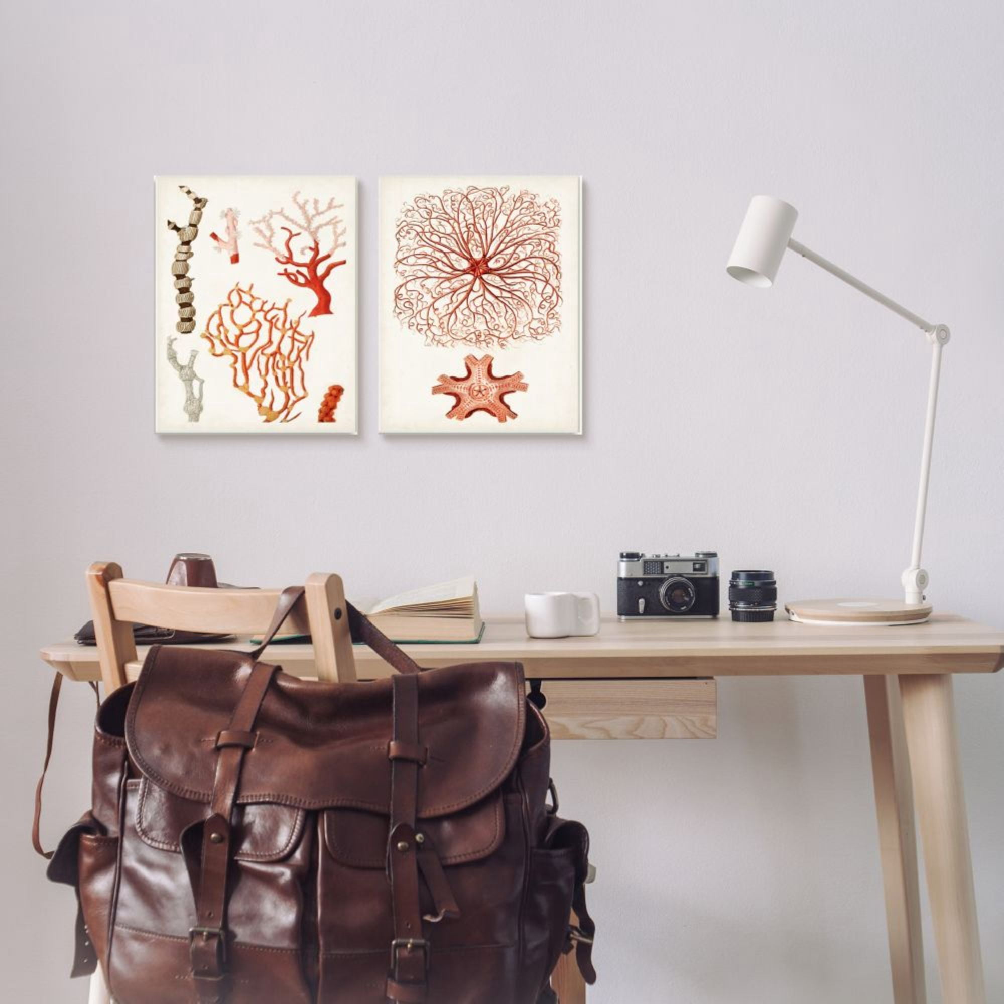 Stupell Industries Collage of Unique Ocean Coral Red Brown Design by Unknown Artist