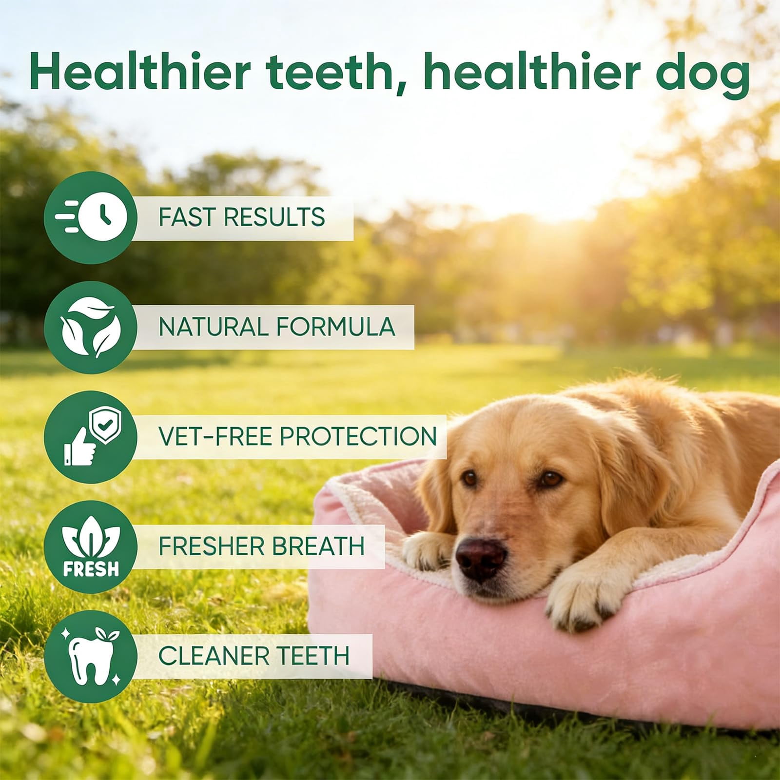 MiloLab Co. Dog Dental Spray for Tartar & Plaque Removal – Pet Oral Care Solution for Dogs, Breath Freshener, Teeth Cleaning Liquid, 3.38 oz (1PC)