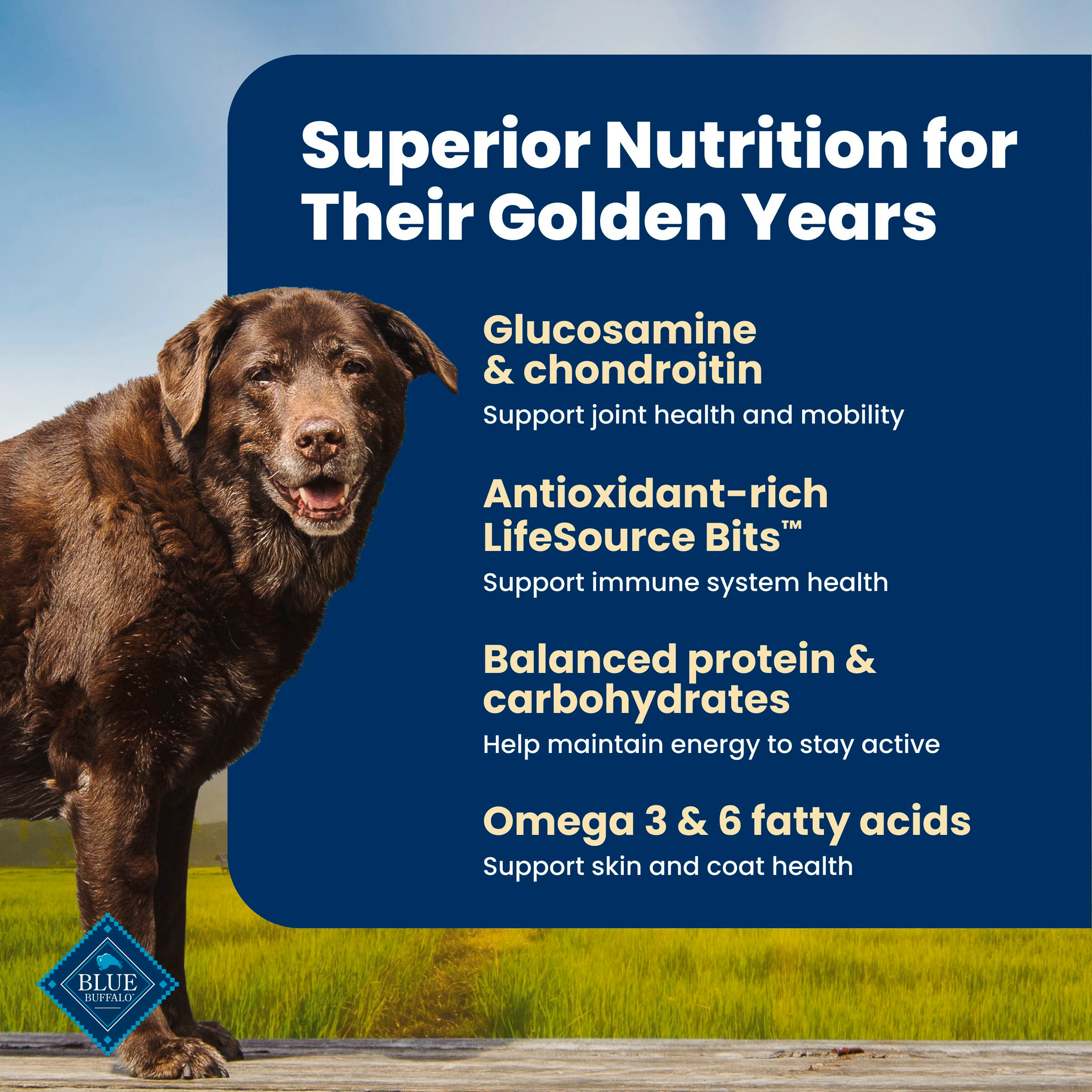 Blue Buffalo Life Protection Formula Senior Dry Dog Food, 5 Lb photo 4