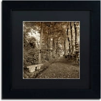 Trademark Fine Art "Fiesole Giardini II" Canvas Art by Alan Blaustein, Black Matte, Black Frame
