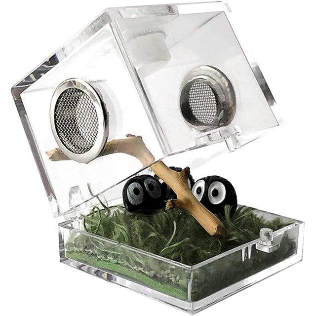 Boîte d'Alimentation pour Insectes Boîte de Reproduction en Acrylique Transparent pour Reptiles pour Araignée Scorpion Coléoptère