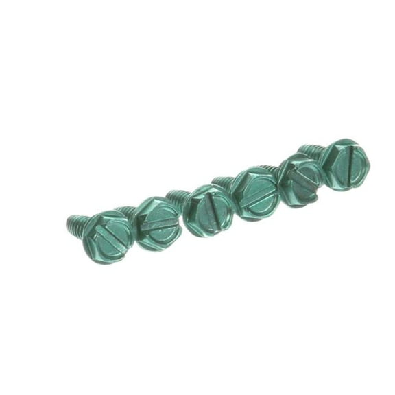 Philips Flat Hex Head Screw - Pack of 6