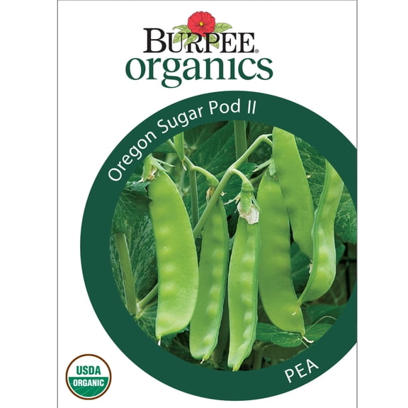Burpee Organics Oregon Sugar Pod II Pea Seeds - Snowpea, Heirloom Organic Vegetable Gardening Seeds, 1-Pack