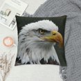 thumbnail image 2 of Orinice Bald Eagle Graphic Decorative Throw Pillow Cover for Home, Couch, Living Room, Bed Sofa - Soft and Durable, 1PC 24x24in, 2 of 5