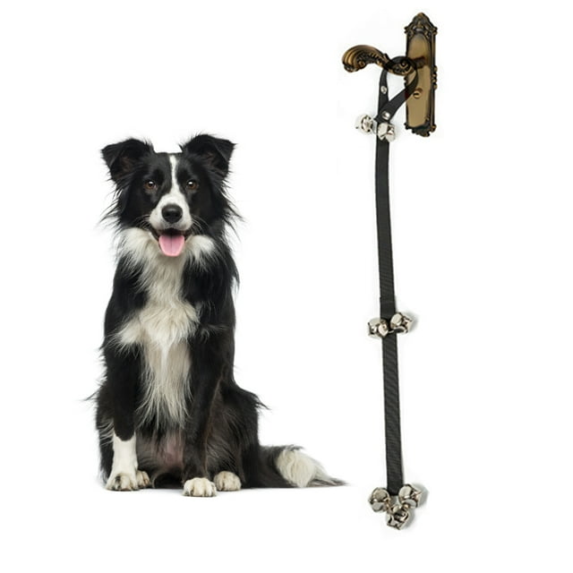 Chien Sonnettes Réglables Fort 7 Cloches Métal Formation Pot Bell Chiot Porte Cloche