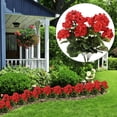 thumbnail image 1 of Flores artificiales de geranio rojo para exteriores y interiores, tallos de geranio sintéticos resistentes a los rayos UV con flores completas para jardineras, decoración de jardines, patios y porches, 1 of 9