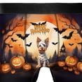 thumbnail image 4 of Mummy Yorkshire Terrier Happy Halloween with Pumpkins Bats Spooky Fun All Over Print Boxer Briefs Underwear for Men Dad Yorkie Dog Lover Gifts - 00019, 4 of 6