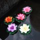 thumbnail image 1 of Farfi 1pc Simulation Lotus Flower Mini estanque artificial DIY DIY Decoración del tanque de peces Farfi 21010044, 1 of 6