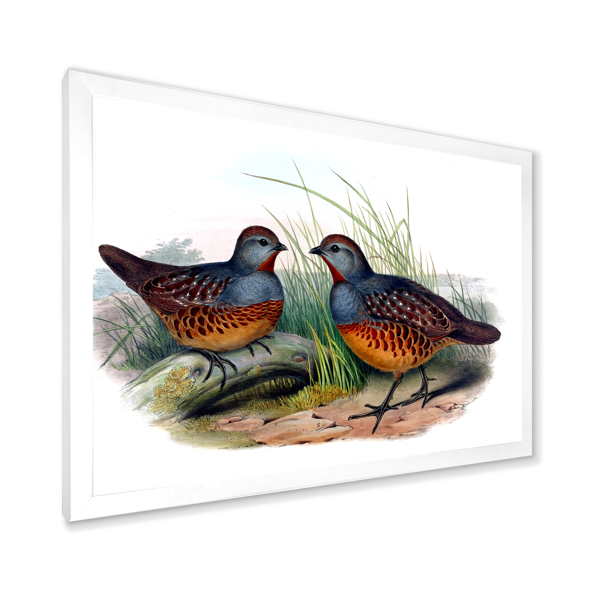 Designart 'Ancient Birds In The Wild VII' Traditional Framed Art Print