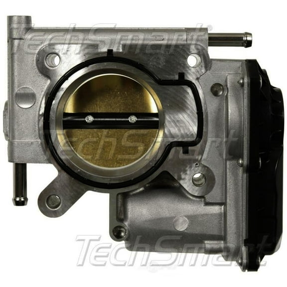 Fuel Injection Throttle Body Assembly