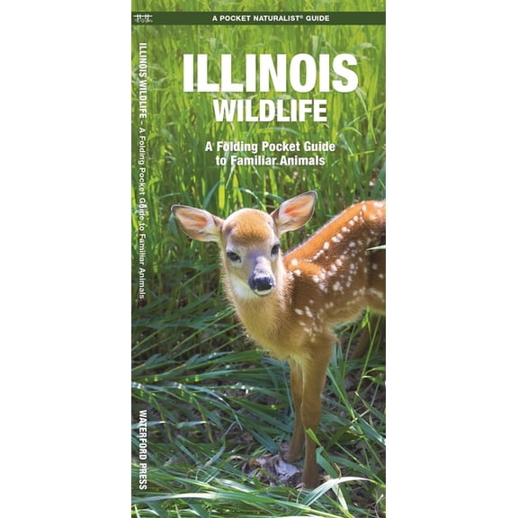Nature Observation North America Illinois Wildlife, (Paperback)