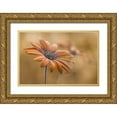 thumbnail image 1 of Disher, Mandy 14x11 Gold Ornate Wood Framed with Double Matting Museum Art Print Titled - Summer glow, 1 of 4