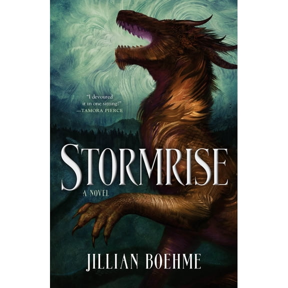 Stormrise (Hardcover) by Jillian Boehme