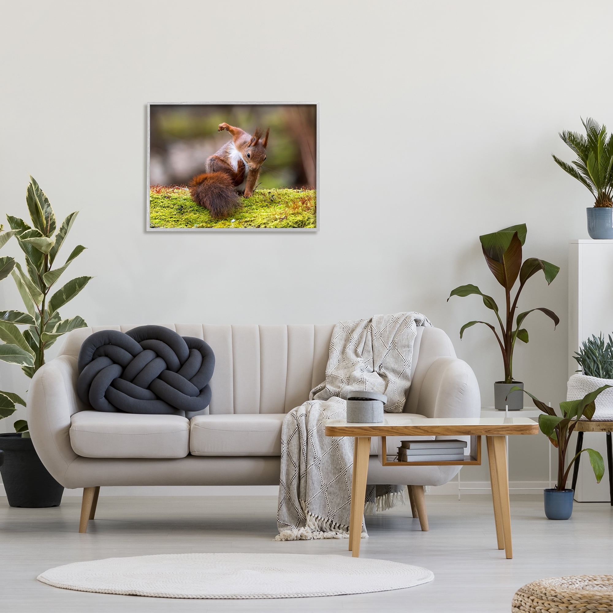 Stupell Industries Squirrel on Mossy Log Animals & Insects Photography Gray Framed Art Print Wall Art, 30 x 24