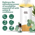 thumbnail image 5 of Aceite esencial GuruNanda de eucalipto, 15 ml, aromaterapia 100% pura, 5 of 5