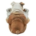 thumbnail image 4 of Ebros Big Bully English Bulldog Decorative Salt And Pepper Shakers Holder Set, 4 of 4