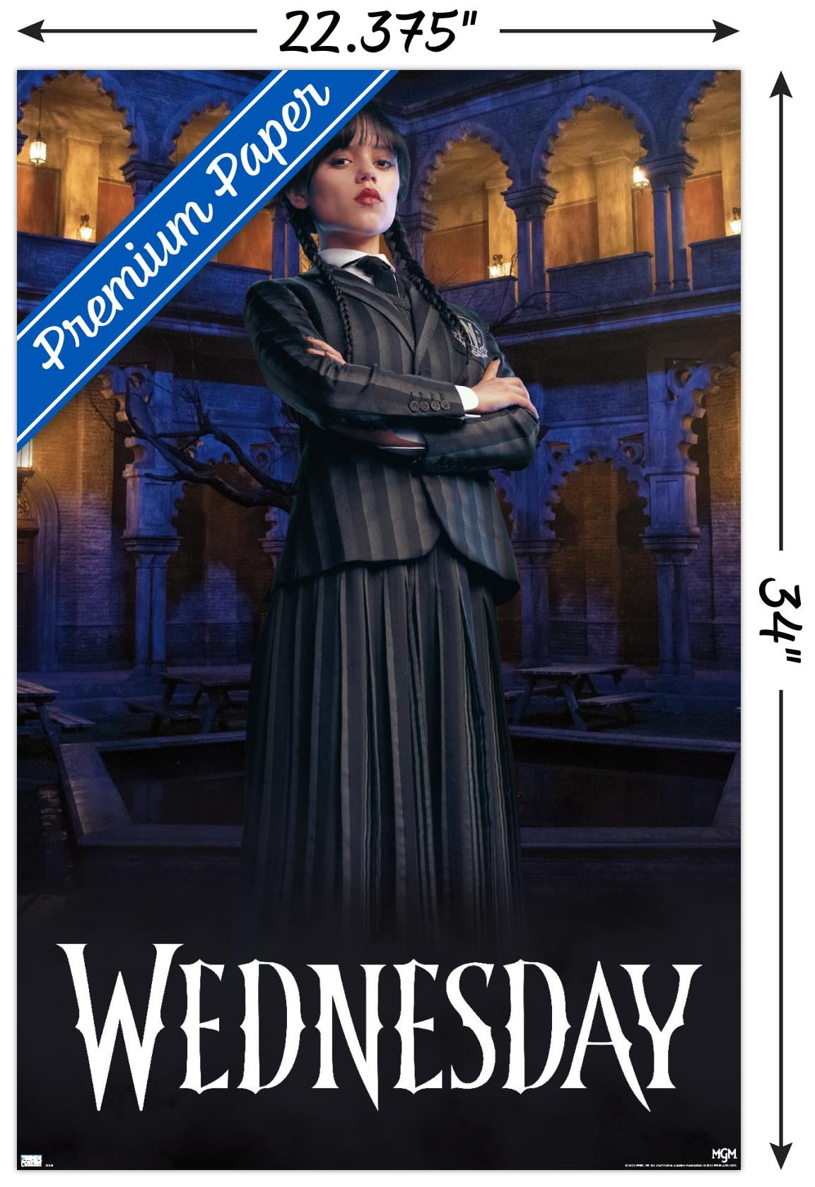 Wednesday - Portrait Wall Poster, 22.375" x 34"