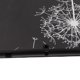 thumbnail image 4 of 1 Pieza Cubierta de Caja para para 9.7 Pulgadas 2017,2018 Ajustable Accesoiros CUTICAT Cubierta elegante de la caja, 4 of 8