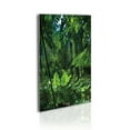 thumbnail image 1 of Plant Acrylic Glass Wall Art, Green Jungle Untouched Nature Environmental Concerns Flora Fauna Jungle Rainforest, Decorative Accent for Living Room Bedroom &, 19" x 26", Forest Green, by Ambesonne, 1 of 1